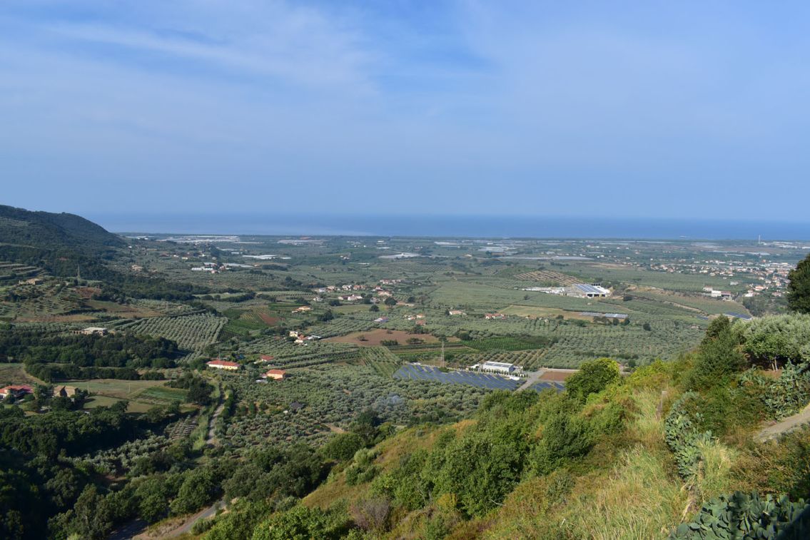 2-il-paesaggio-della-piana-di-curinga-dove-dovrebbe-sorgere-la-centrale