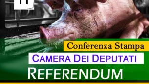 conf_stampa_referendum_stop_allevamenti_intensivi