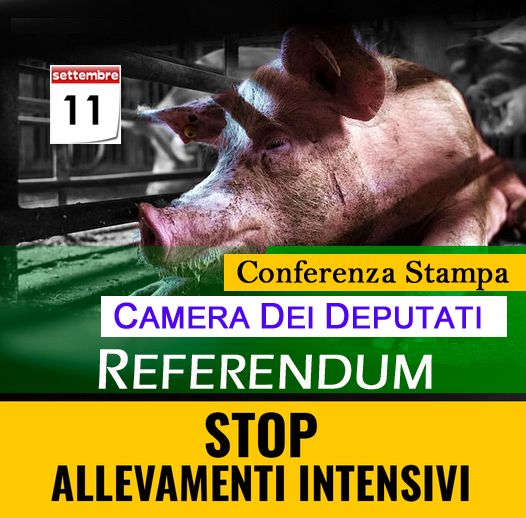 conf_stampa_referendum_stop_allevamenti_intensivi