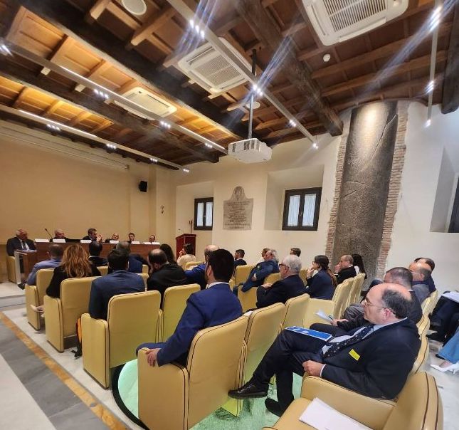 f-to-conferenza-stampa-senato