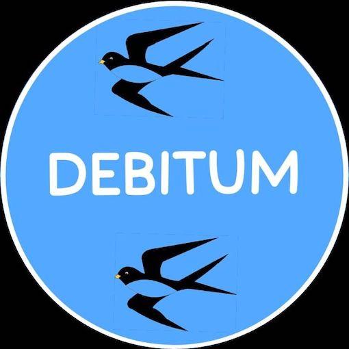 logo-debitum