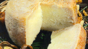 PECORINO.EVIDENZA