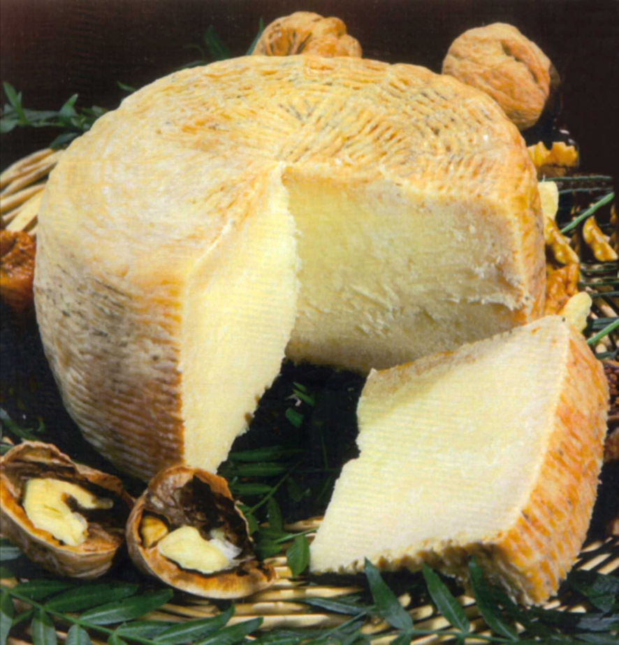 PECORINO.EVIDENZA