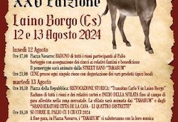 palio_ciucci_2024