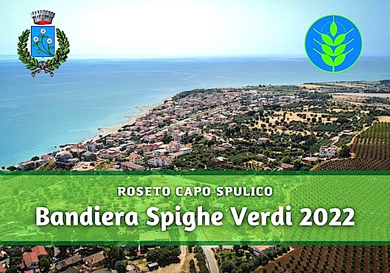 roseto-capo-spulico-spighe-verdi-2022