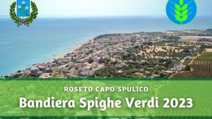 roseto-capo-spulico-spighe-verdi-2023