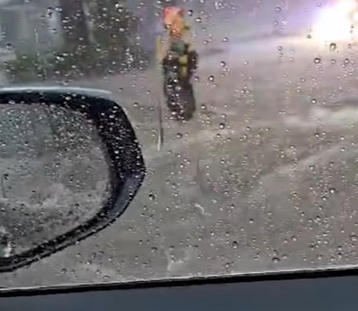 Bloccato in auto dal nubifragio, salvato con una corda - Video