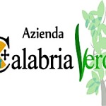 calabria-verde-azienda-300x225