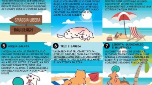 Cani in spiaggia, cosa c'è da sapere