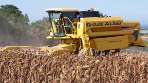 Cia, accesso alla terra dei giovani agricoltori diventi priorità Ue