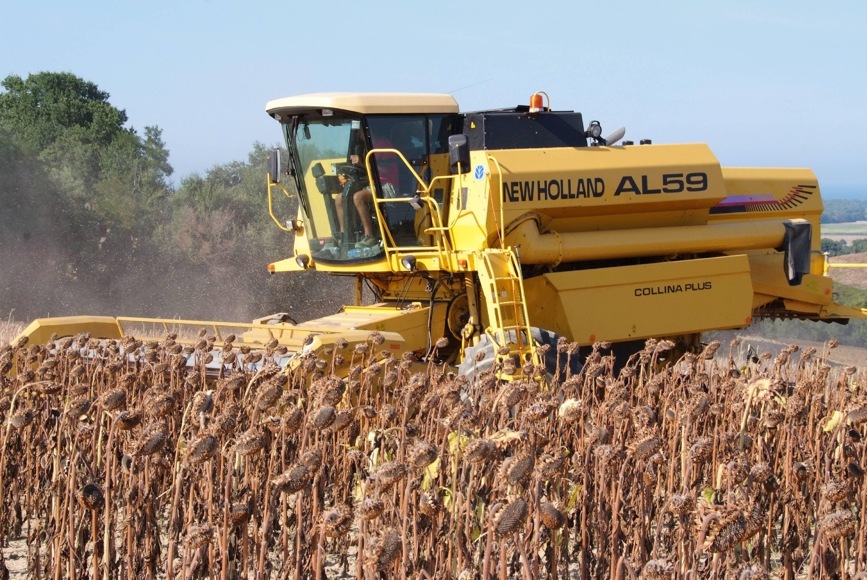 Cia, accesso alla terra dei giovani agricoltori diventi priorità Ue