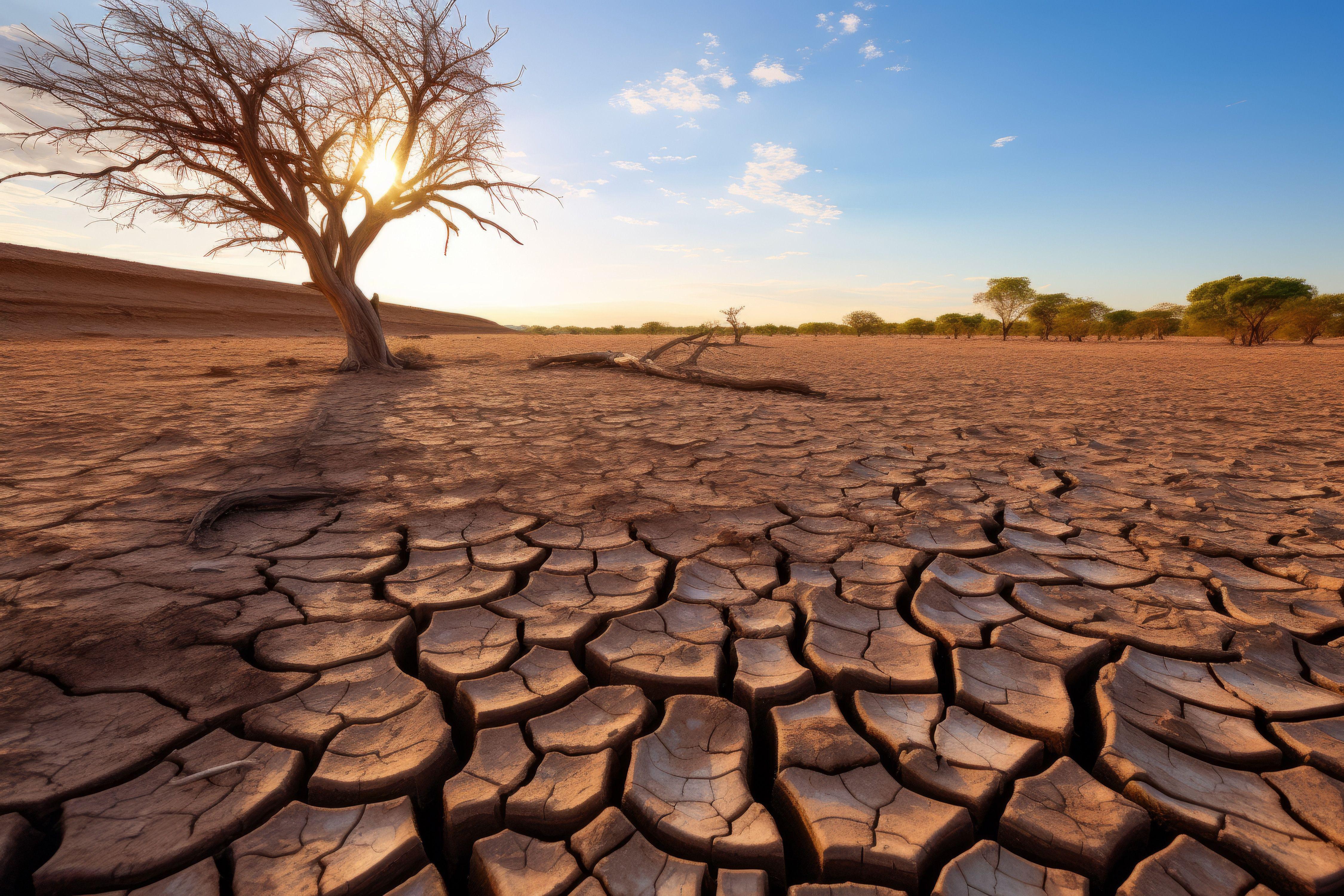 Clima, per 90% italiani cambiamento è minaccia per salute globale