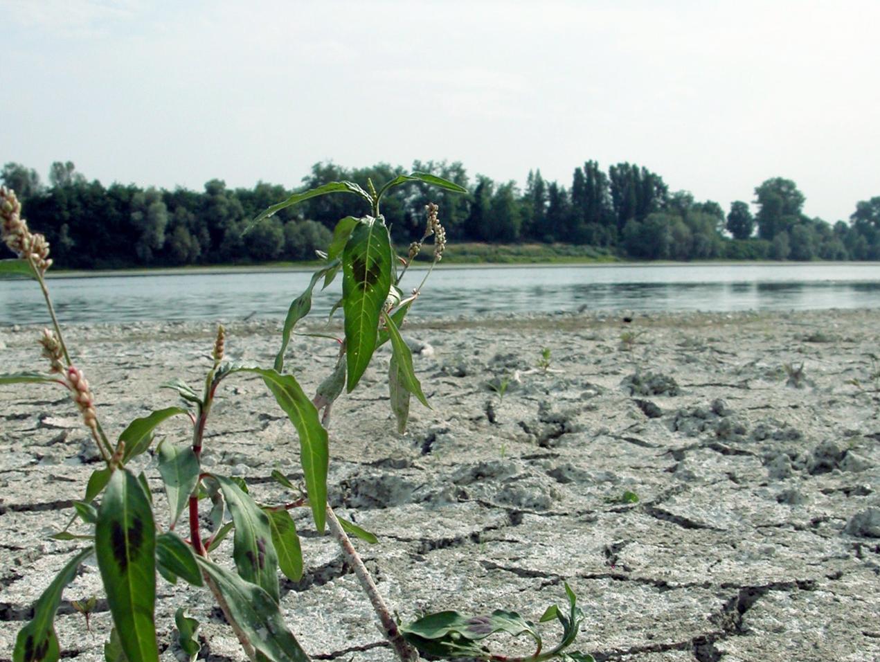 Clima: 'tropicalizzazione' Italia non si arresta, fenomeni +130% in primi 6 mesi 2023