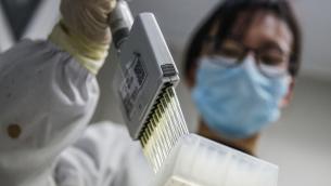 Covid, pipistrelli in laboratorio Wuhan? Parla virologa cinese