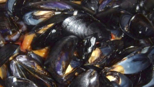 cozze-taranto