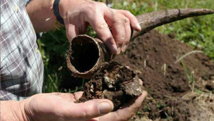 cuernos-agricultura-biodinamica