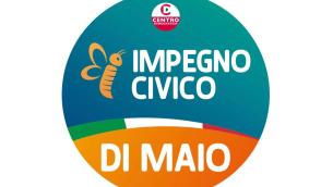 Di Maio e Impegno Civico, ape nel simbolo