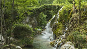 Ecocidio, Avs propone reato per chi danneggia ambiente, da 12 a 20 di reclusione