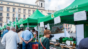 farmer-market