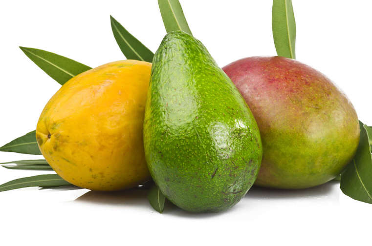 frutta_tropicale_mango_avocado_papaia