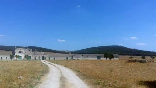 Gravina  (Foto di Marino Pagano)