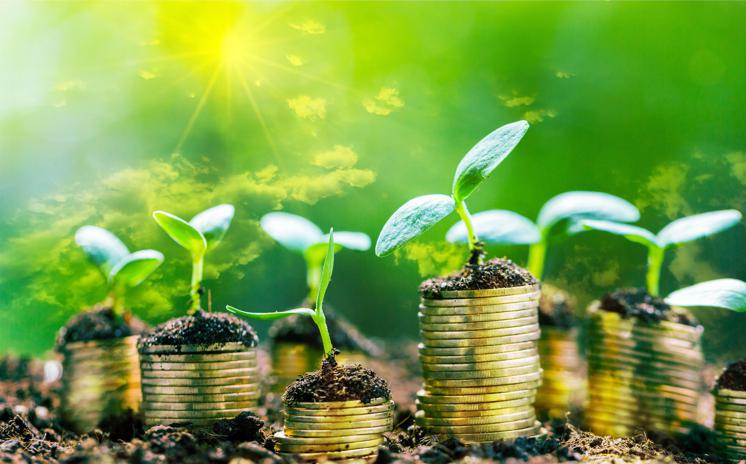 Green bond e Sustainability linked Bond, ai mercati piace la finanza 'verde'