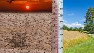 Il 2020 è stato l'anno più caldo in Europa