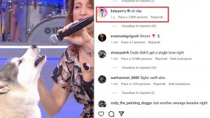 Il cane-cantante alla Corrida, anche Katy Perry è una fan - Video