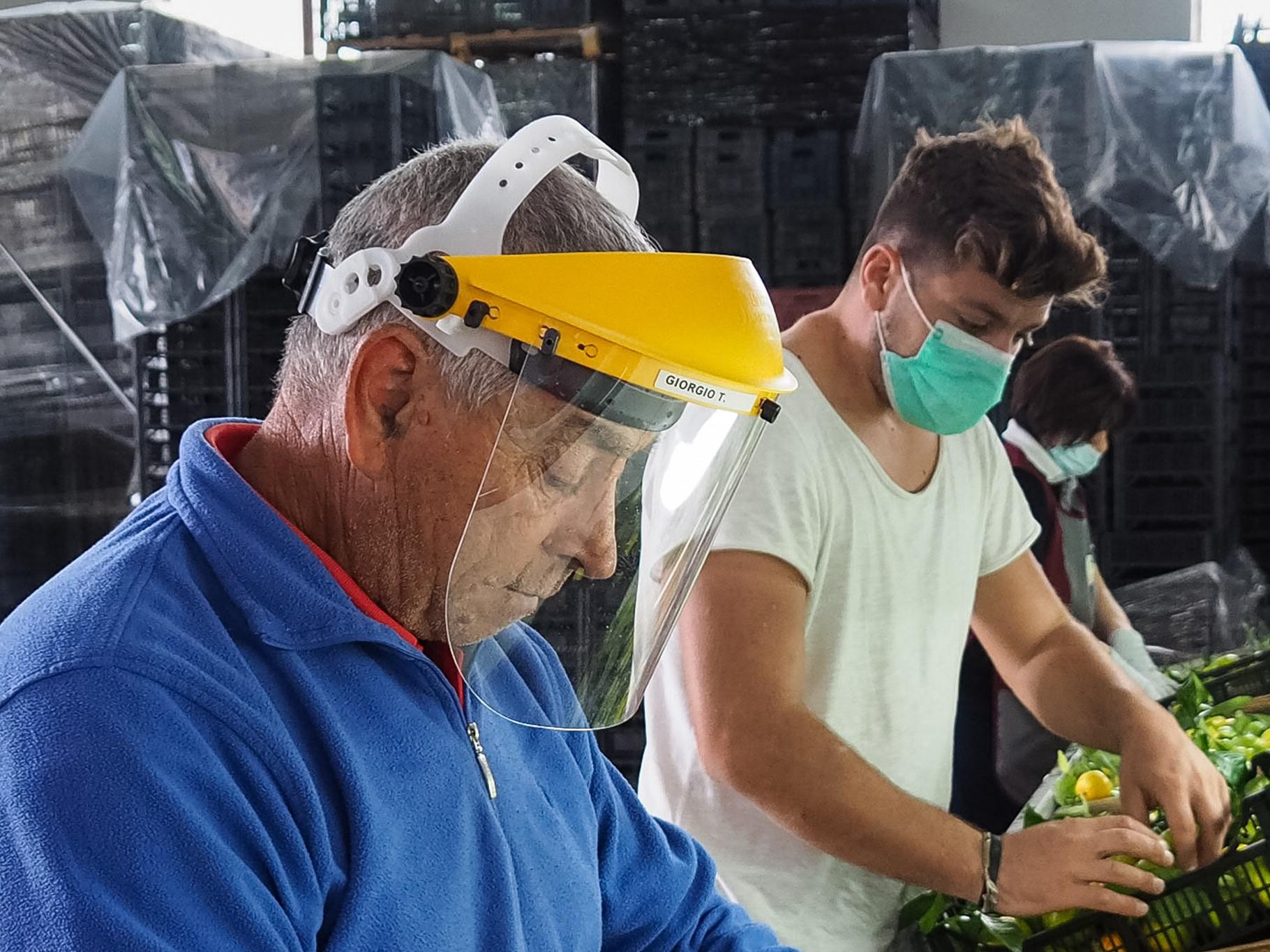 Inca Cgil: "In aumento neoplasie professionali, troppi lavoratori esposti a fattori cancerogeni"