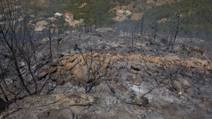 Incendi in Algeria, si aggrava il bilancio dei morti: sono 40