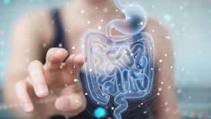 Infarto e ictus possono arrivare dall'intestino: la scoperta italiana