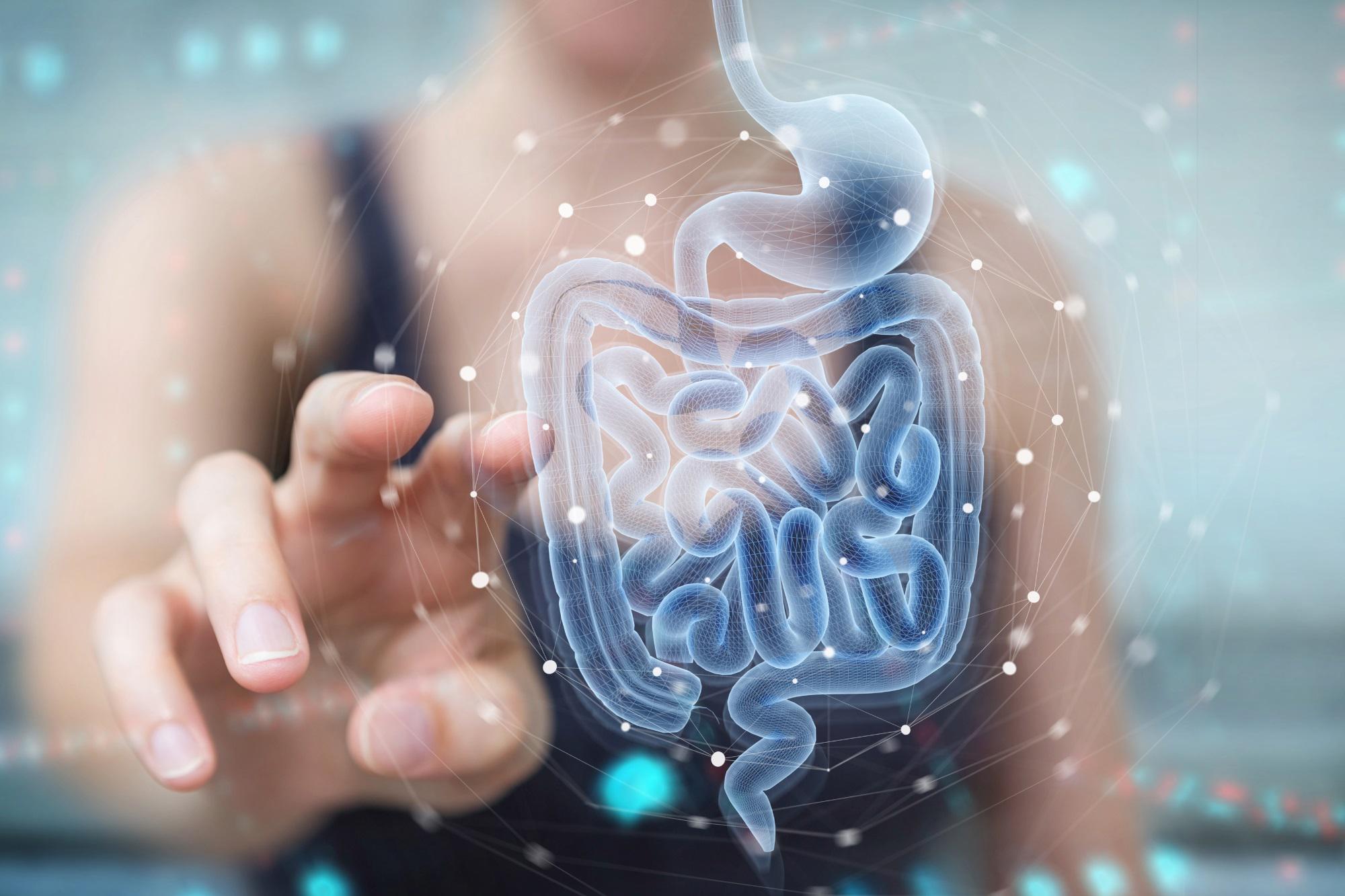 Infarto e ictus possono arrivare dall'intestino: la scoperta italiana