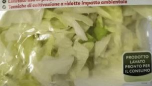 Listeria in insalata iceberg in busta, richiamati lotti di 19 marchi