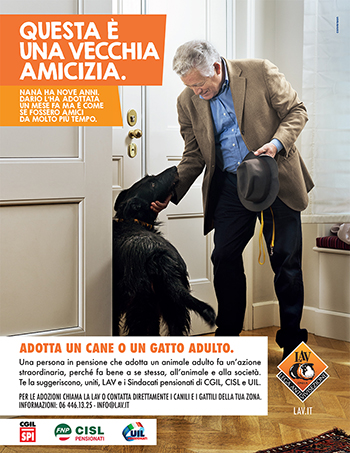 locandina-adozioni-cane-LAV-SINDACATI