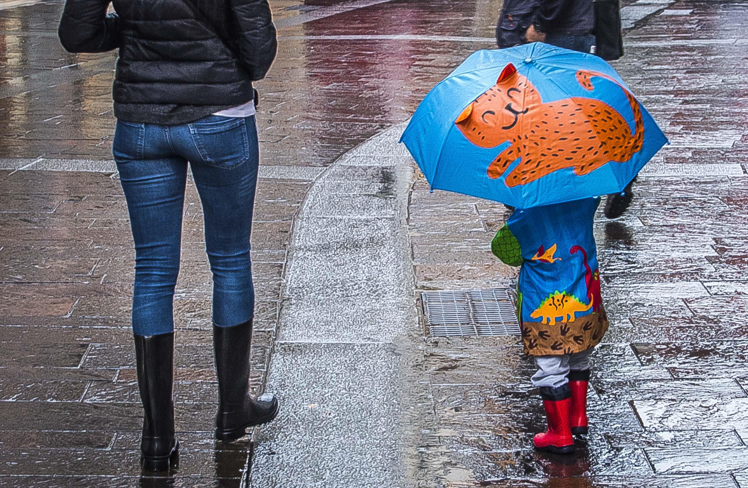 Maltempo sull'Italia: oggi allerta arancione in Liguria ed Emilia-Romagna, gialla in 15 regioni