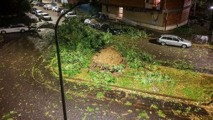 Milano, violento nubifragio nella notte: alberi caduti e tetti scoperchiati