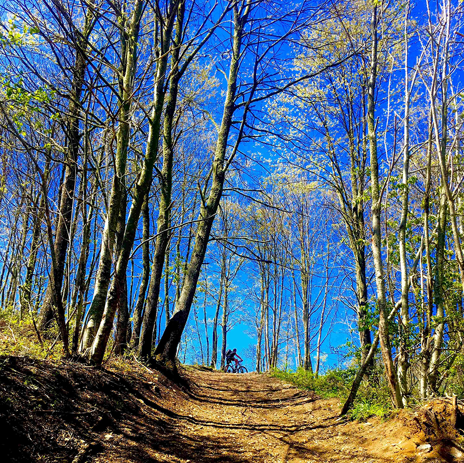 mountain-bike-soveria