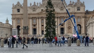 Natale, innalzato in piazza San Pietro l'albero al centro delle proteste