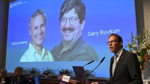 Nobel Medicina 2024 a Victor Ambros e Gary Ruvkun per scoperta 'interruttori dei geni'