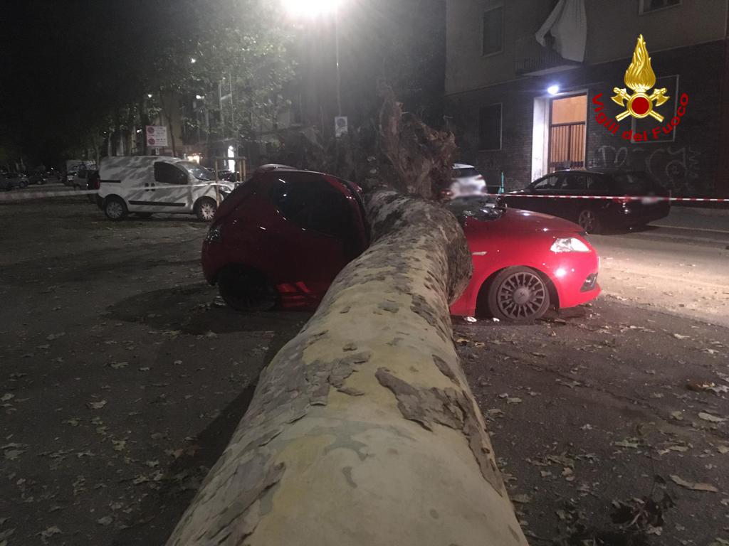 Nubifragio oggi a Milano, alberi caduti e tetti pericolanti