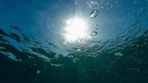 Oceani caldi con temperature record, lo studio