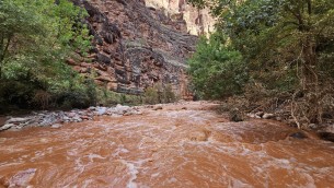 Paura al Grand Canyon per inondazioni improvvise, oltre 100 persone evacuate - Video