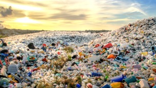 waste plastic bottles and other types of plastic waste at the Thilafushi waste disposal site.