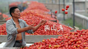 pomodoro-cinese