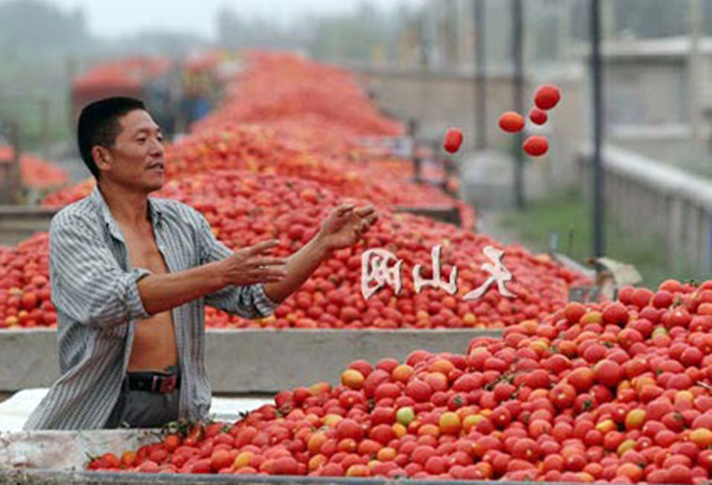 pomodoro-cinese