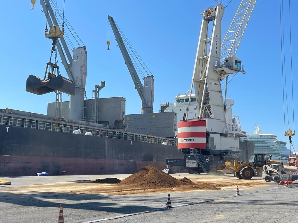 Porti, giornate di intensi traffici commerciali a Civitavecchia, Musolino: "Tutte le banchine operative"