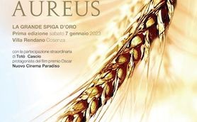 premio-magnus-aureus