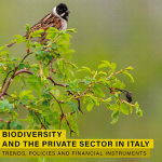 Rapporto Etifor, tutela della biodiversità è una responsabilità condivisa