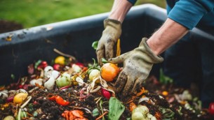 Rifiuti, Cic e Biorepack: Osservatorio Bioriciclo per migliorare la raccolta dell'organico