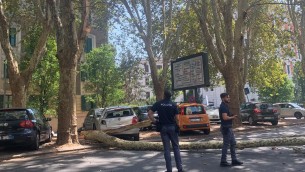 Roma, grosso ramo cade su circonvallazione Clodia: due auto danneggiate